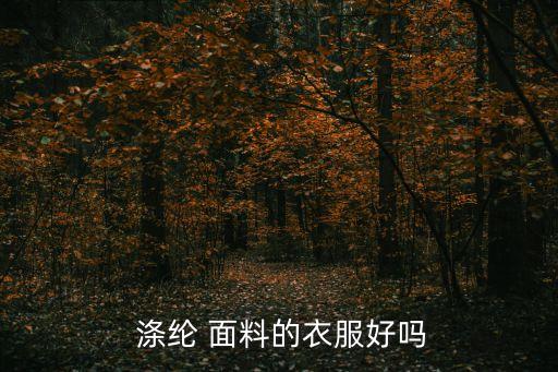  涤纶 面料的衣服好吗