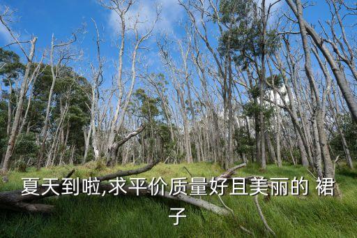 夏天到啦,求平价质量好且美丽的 裙子