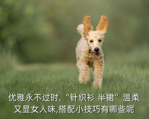 优雅永不过时,“针织衫 半裙”温柔又显女人味,搭配小技巧有哪些呢