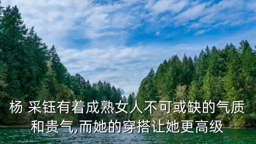 杨 采钰有着成熟女人不可或缺的气质和贵气,而她的穿搭让她更高级