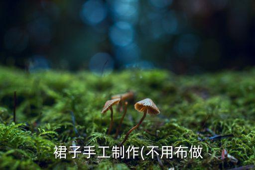  裙子手工制作(不用布做