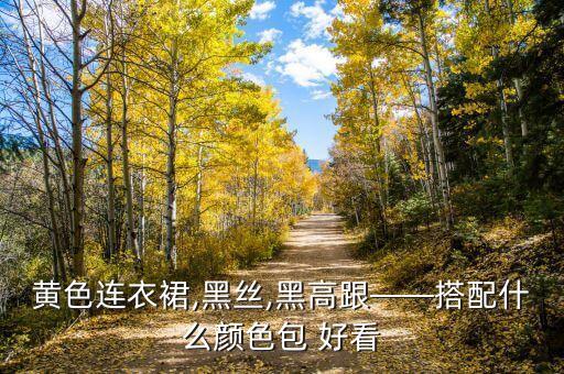 黄色连衣裙,黑丝,黑高跟——搭配什么颜色包 好看