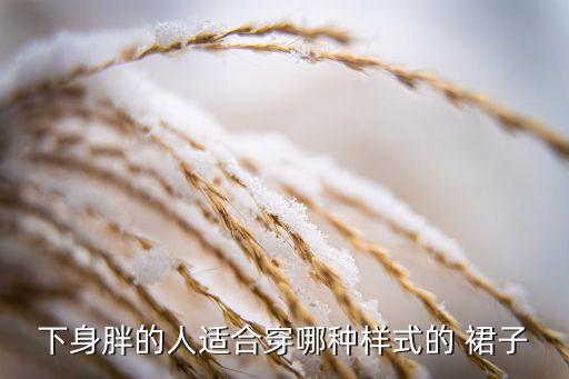 下身胖的人适合穿哪种样式的 裙子