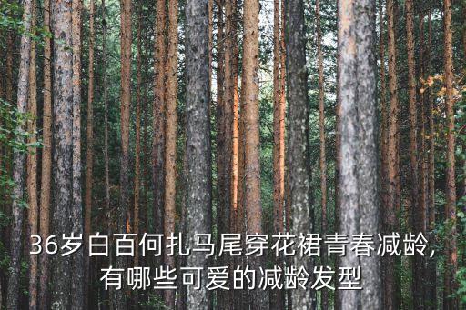 白裙子编发简单好看女