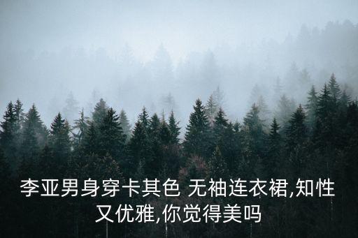 李亚男身穿卡其色 无袖连衣裙,知性又优雅,你觉得美吗
