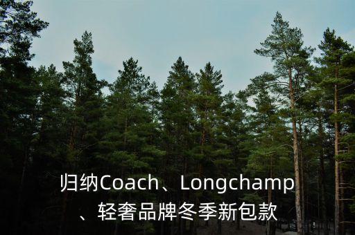 归纳Coach、Longchamp、轻奢品牌冬季新包款