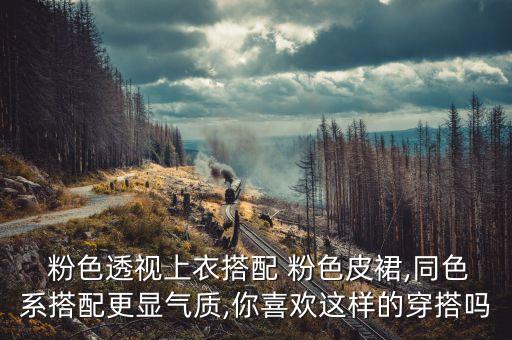  粉色透视上衣搭配 粉色皮裙,同色系搭配更显气质,你喜欢这样的穿搭吗