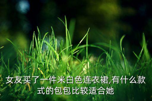 女友买了一件米白色连衣裙,有什么款式的包包比较适合她