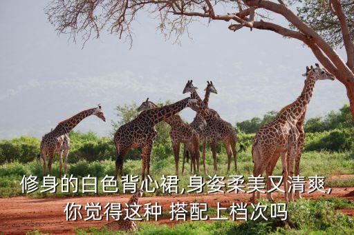 修身的白色背心裙,身姿柔美又清爽,你觉得这种 搭配上档次吗
