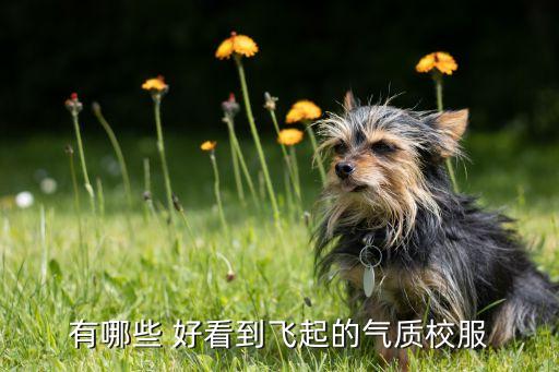 有哪些 好看到飞起的气质校服