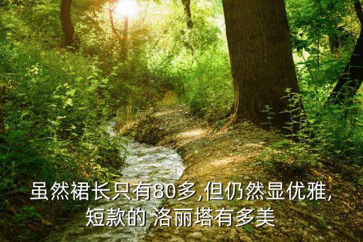 洛丽塔搭配紫色裙子图,紫色系洛丽塔裙子