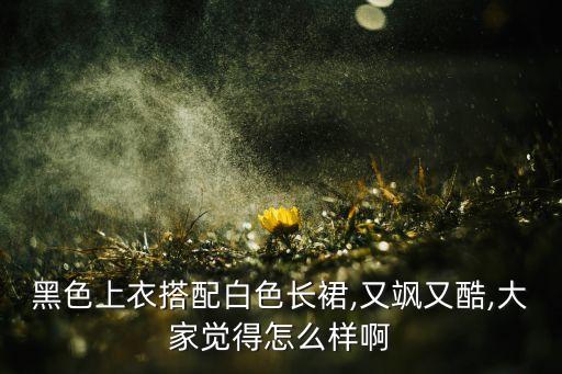 黑色上衣搭配白色长裙,又飒又酷,大家觉得怎么样啊