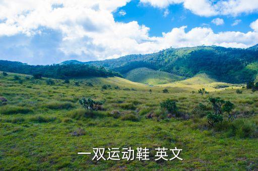 我要一双鞋子的英文