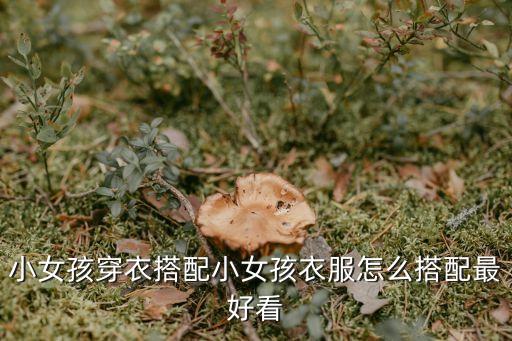 小女孩穿衣搭配小女孩衣服怎么搭配最好看