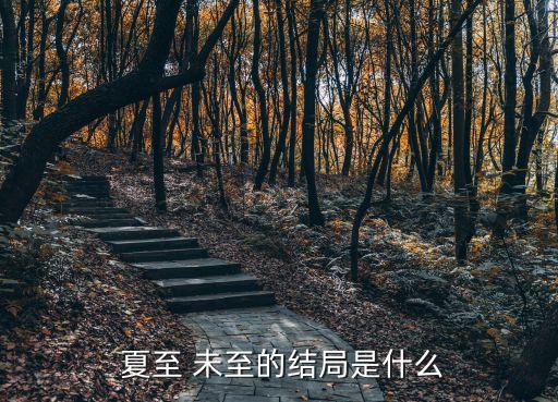  夏至 未至的结局是什么