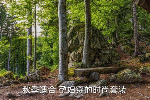 秋季适合 孕妇穿的时尚套装
