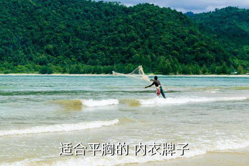 适合平胸的 内衣牌子