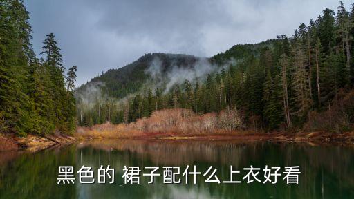  黑色的 裙子配什么上衣好看
