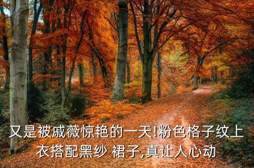 又是被戚薇惊艳的一天!粉色格子纹上衣搭配黑纱 裙子,真让人心动