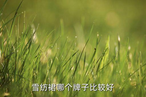 雪纺裙哪个牌子比较好