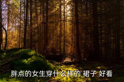 胖点的女生穿什么样的 裙子 好看
