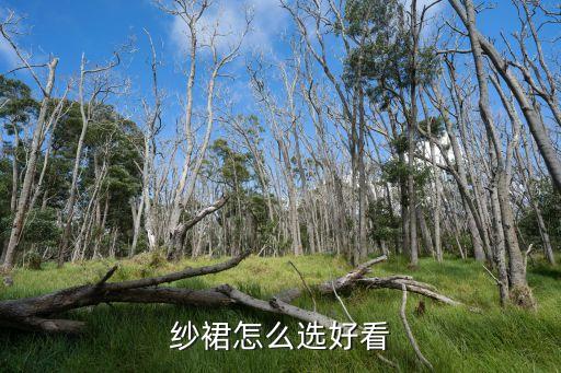 莎莎裙子穿搭技巧,女士裙子穿搭技巧