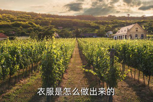 衣服是怎么做出来的
