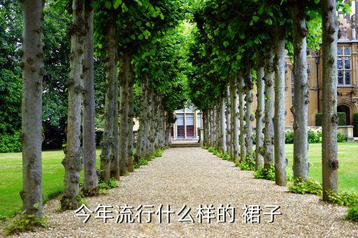 今年流行什么样的 裙子