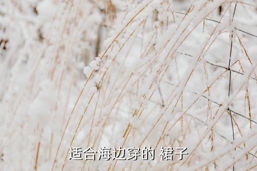 适合海边穿的 裙子