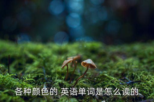 七种颜色英语怎么读,彩虹的七种颜色怎么读