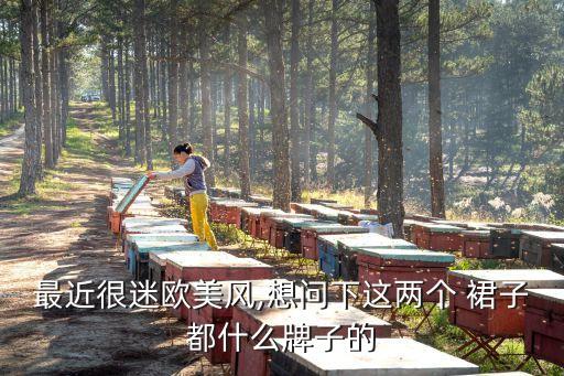 最近很迷欧美风,想问下这两个 裙子都什么牌子的