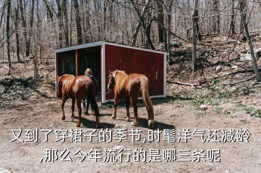 又到了穿裙子的季节,时髦洋气还减龄,那么今年流行的是哪三条呢