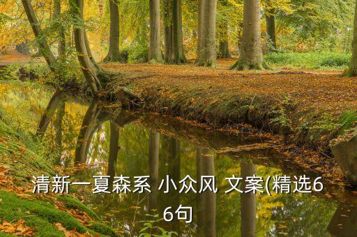 清新一夏森系 小众风 文案(精选66句