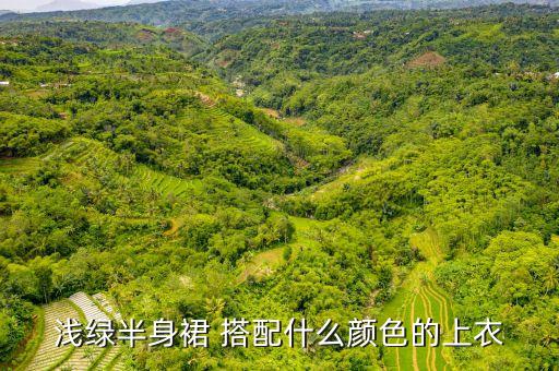 粉红衬衫绿色裙子搭配,绿色衬衫搭配什么裙子好看