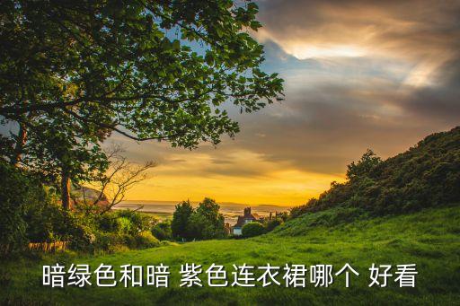 暗绿色和暗 紫色连衣裙哪个 好看