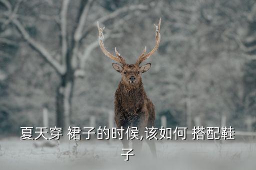 夏天穿 裙子的时候,该如何 搭配鞋子