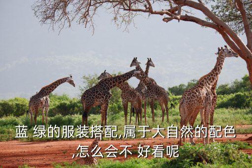 格子蓝绿裙子好看吗