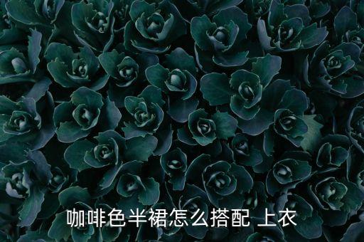 咖色裙子配啥颜色上衣,咖啡色裙子最佳搭配图