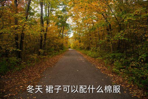 冬天 裙子可以配什么棉服
