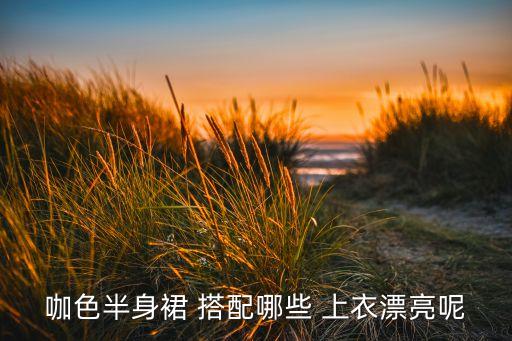 咖色半身裙 搭配哪些 上衣漂亮呢