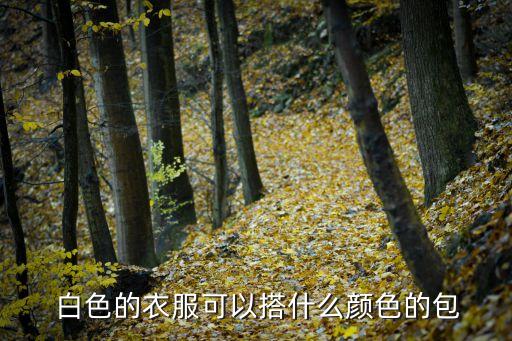  白色的衣服可以搭什么颜色的包