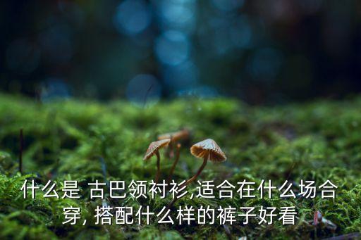 什么是 古巴领衬衫,适合在什么场合穿, 搭配什么样的裤子好看