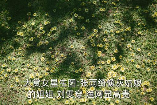 ...大赏女星生图:张雨绮像灰姑娘的姐姐,刘雯穿 渔网显高贵
