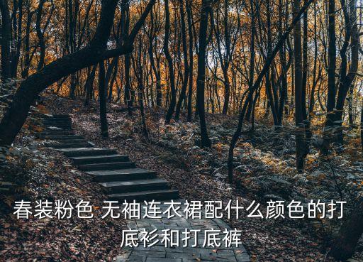 春装粉色 无袖连衣裙配什么颜色的打底衫和打底裤
