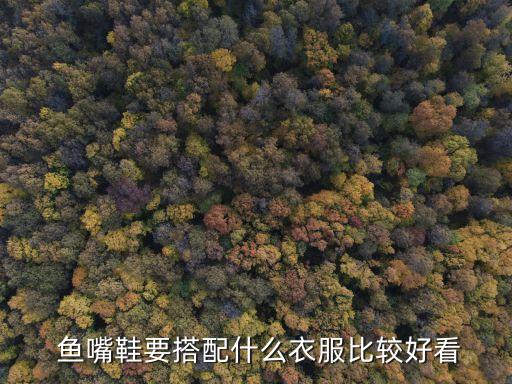  鱼嘴鞋要搭配什么衣服比较好看