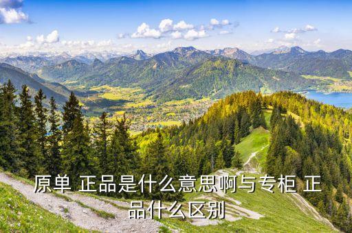  原单 正品是什么意思啊与专柜 正品什么区别