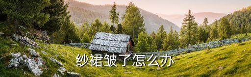纱裙皱了怎么办