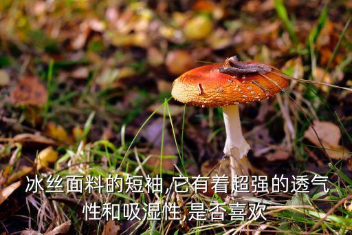  冰丝面料的短袖,它有着超强的透气性和吸湿性,是否喜欢