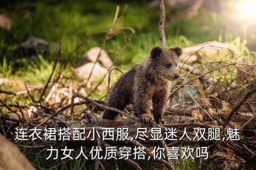 连衣裙搭配小西服,尽显迷人双腿,魅力女人优质穿搭,你喜欢吗