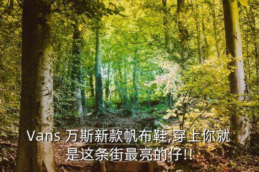 Vans 万斯新款帆布鞋,穿上你就是这条街最亮的仔!!